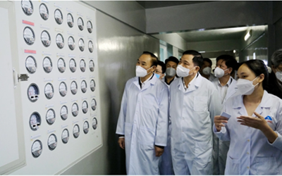 Việt Nam sản xuất thành công vacxin phòng bệnh viêm da nổi cục trên trâu bò